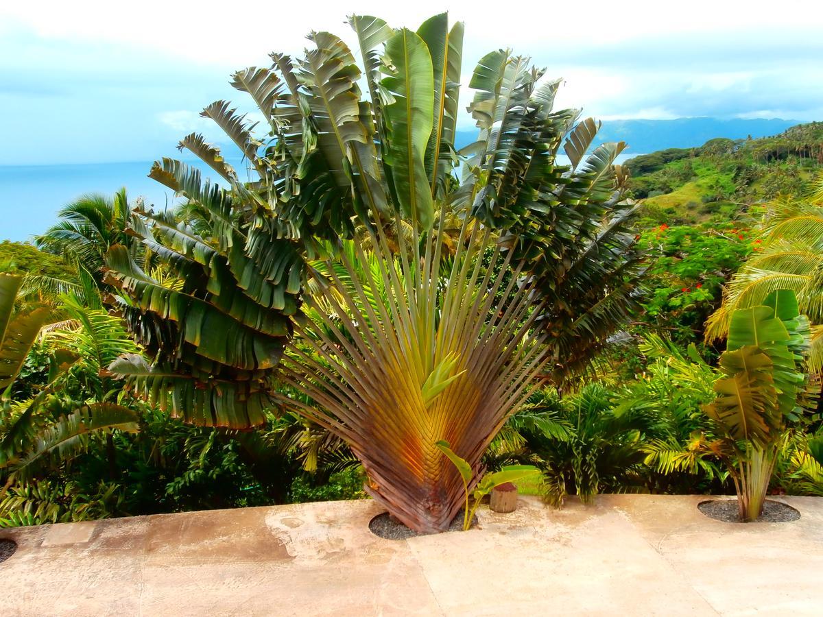Korovesi Sunshine Villas Savusavu Kültér fotó